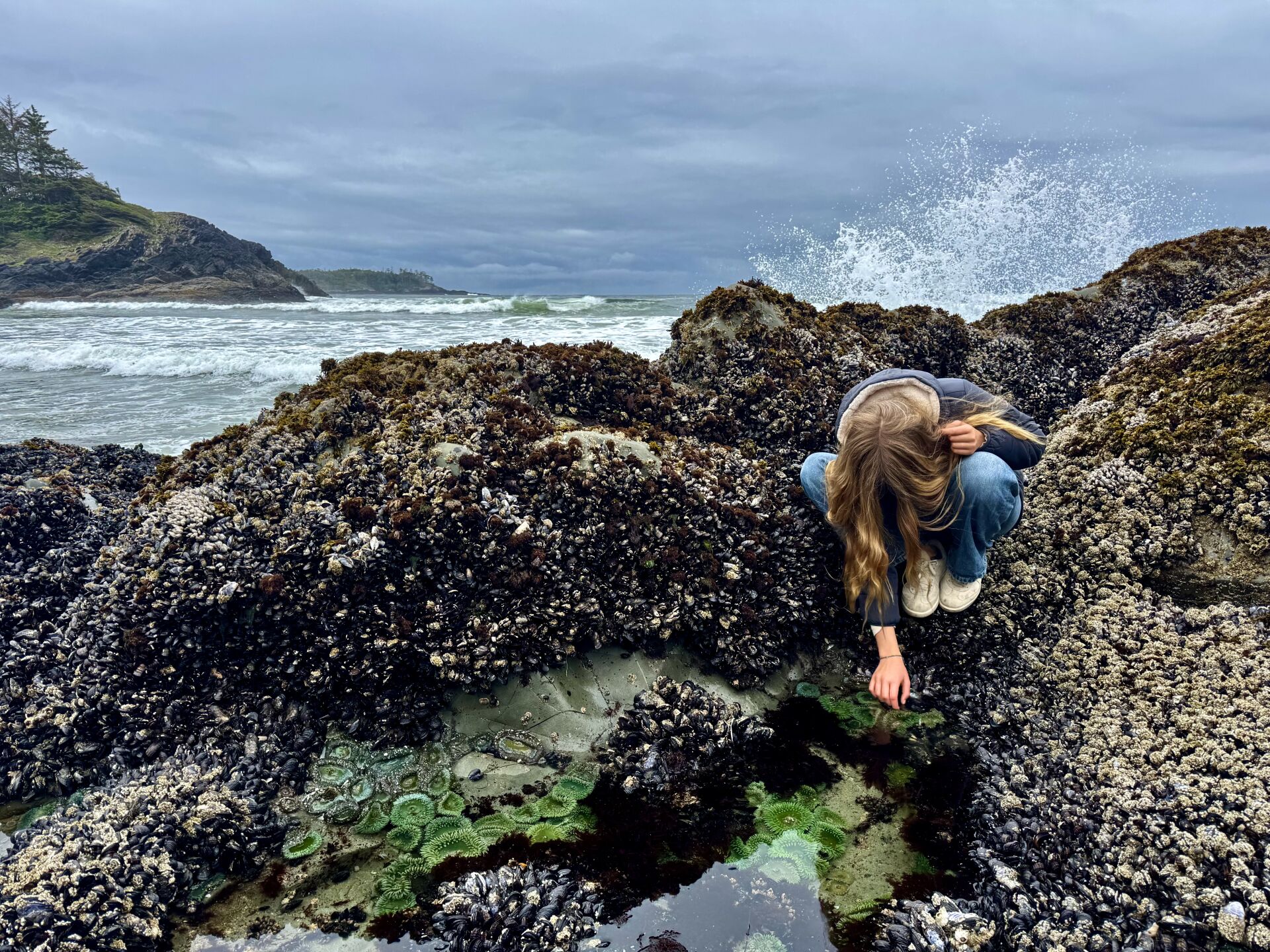Biodiversity Discovery Days West Coast NEST Ocea Green
