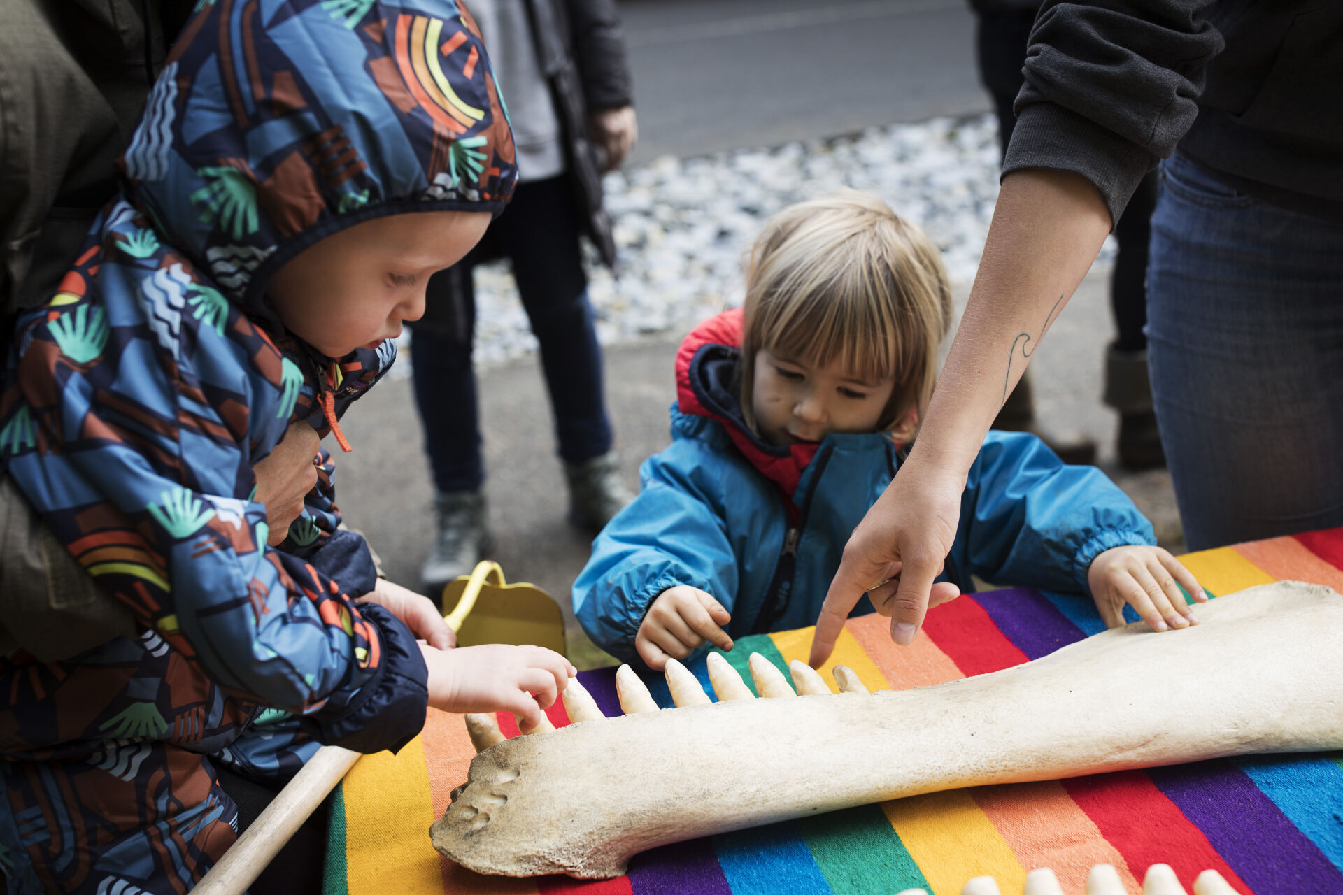 Image of youth learning about a whale bone on a rainbow towel. Photo Credit: Melissa Renwick 
