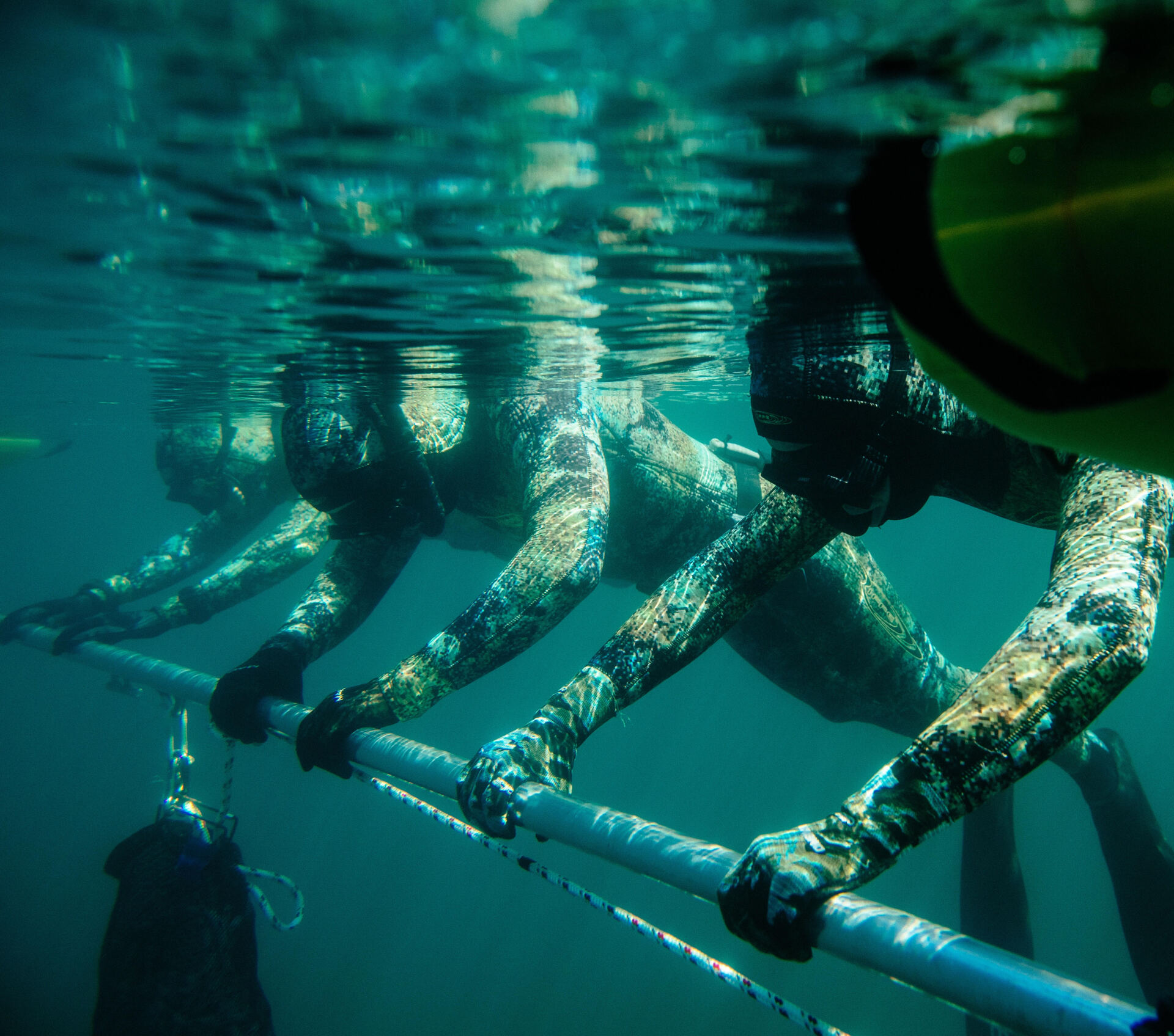 Bottom Dwellers Freediving Course