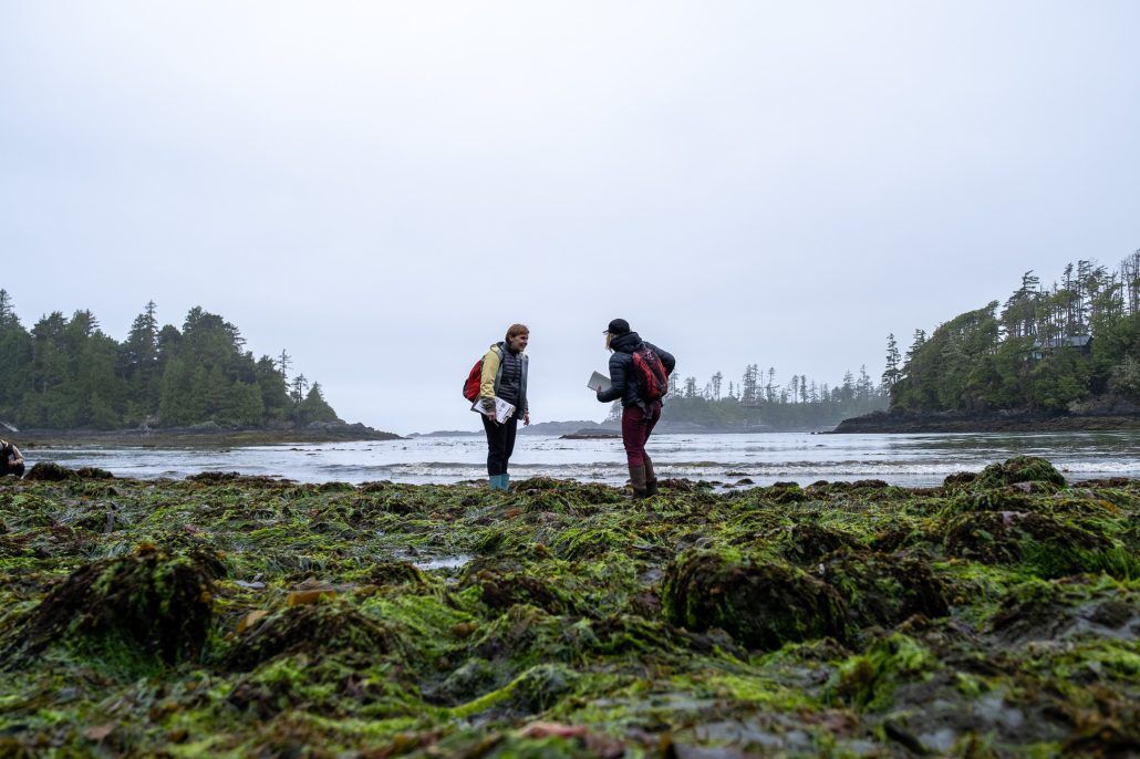 Raincoast Education Society Seaweed of the West Coast