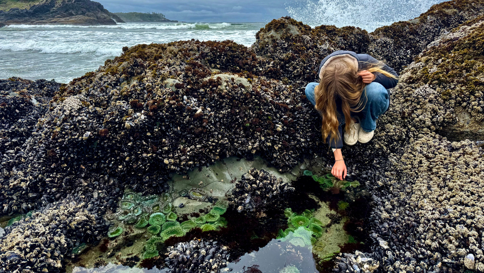 BiBiodiversity Discovery Days West Coast NEST