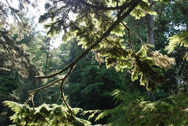 Raincoast Education Society Speaker Series 2025 West Coast NEST