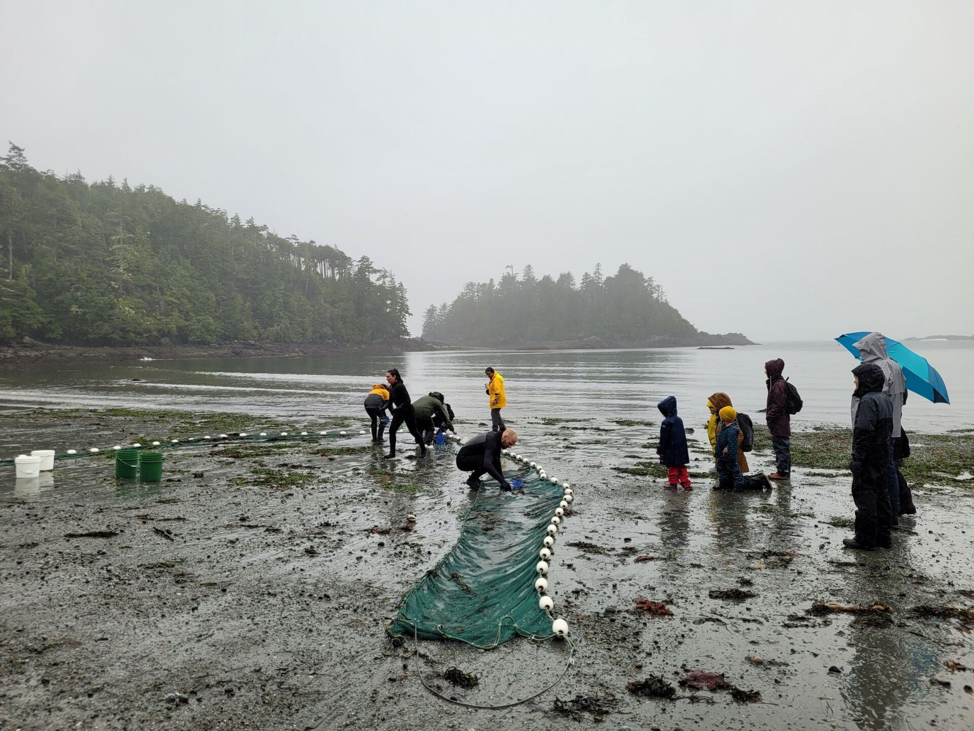 Beach Seine with the Ucluelet Aquarium - Pacific Rim Whale Festival