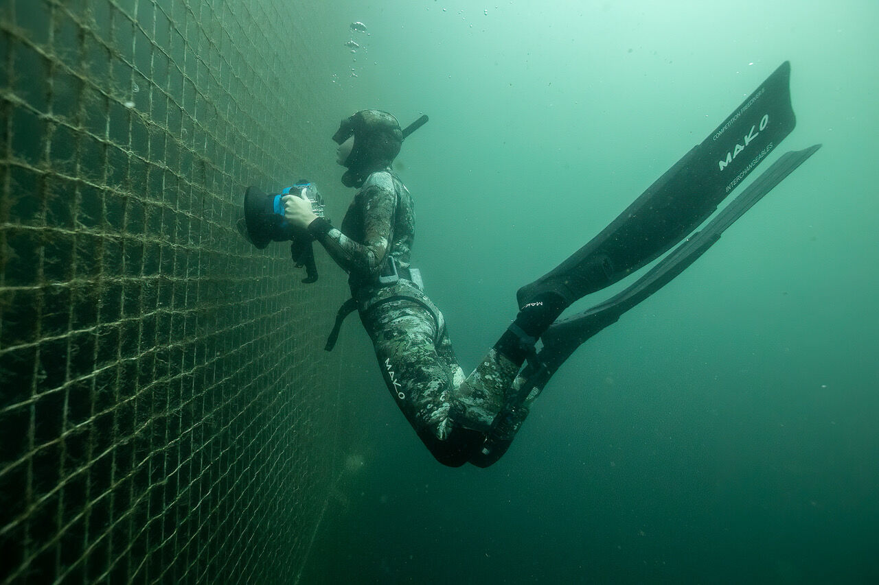 Beyond the Green Veil & Salmon Secrets - Clayoquot Action