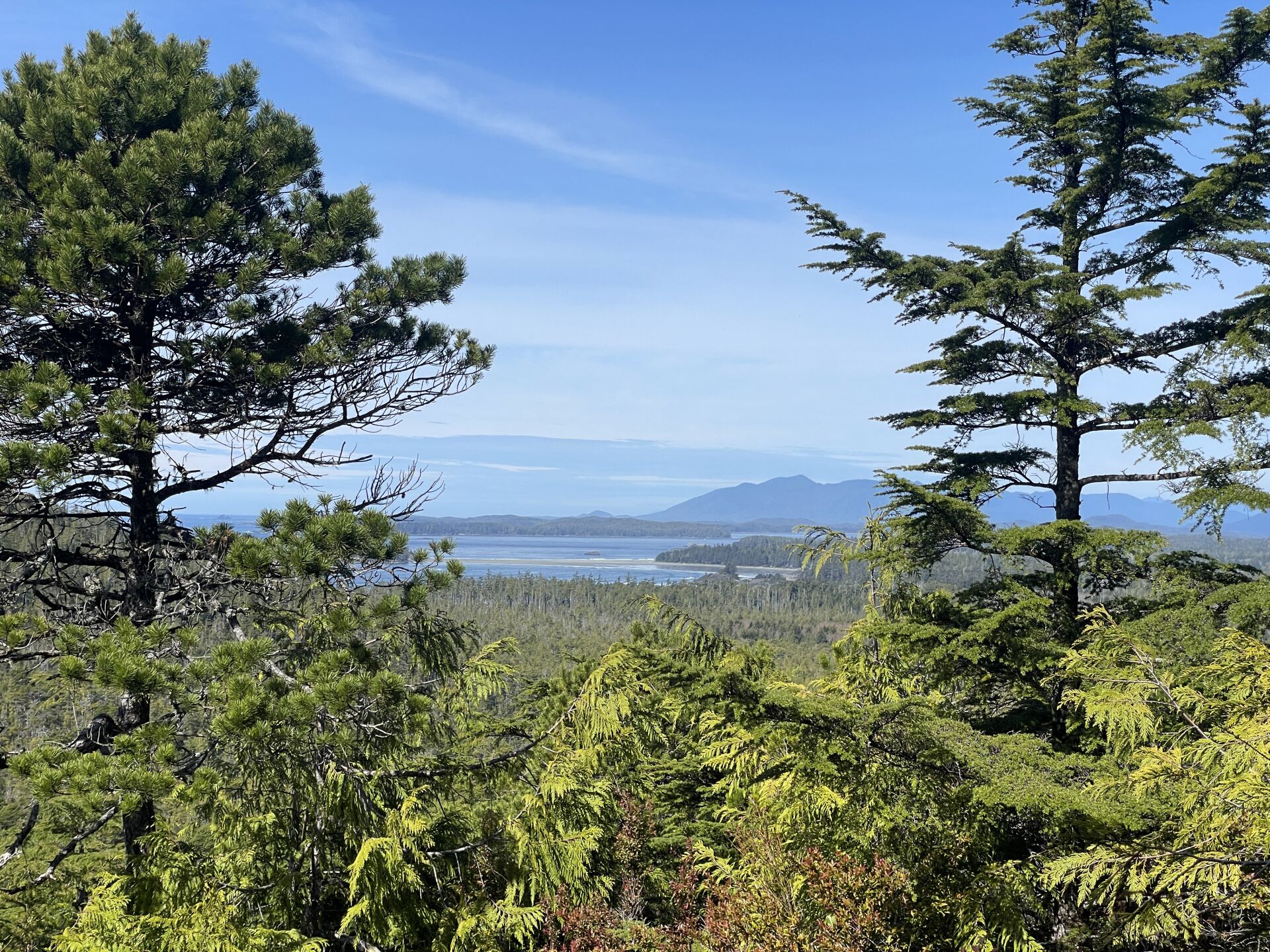 Clayoquot Sound Biosphere Region BioBlitz Clayoquot Biosphere Trust