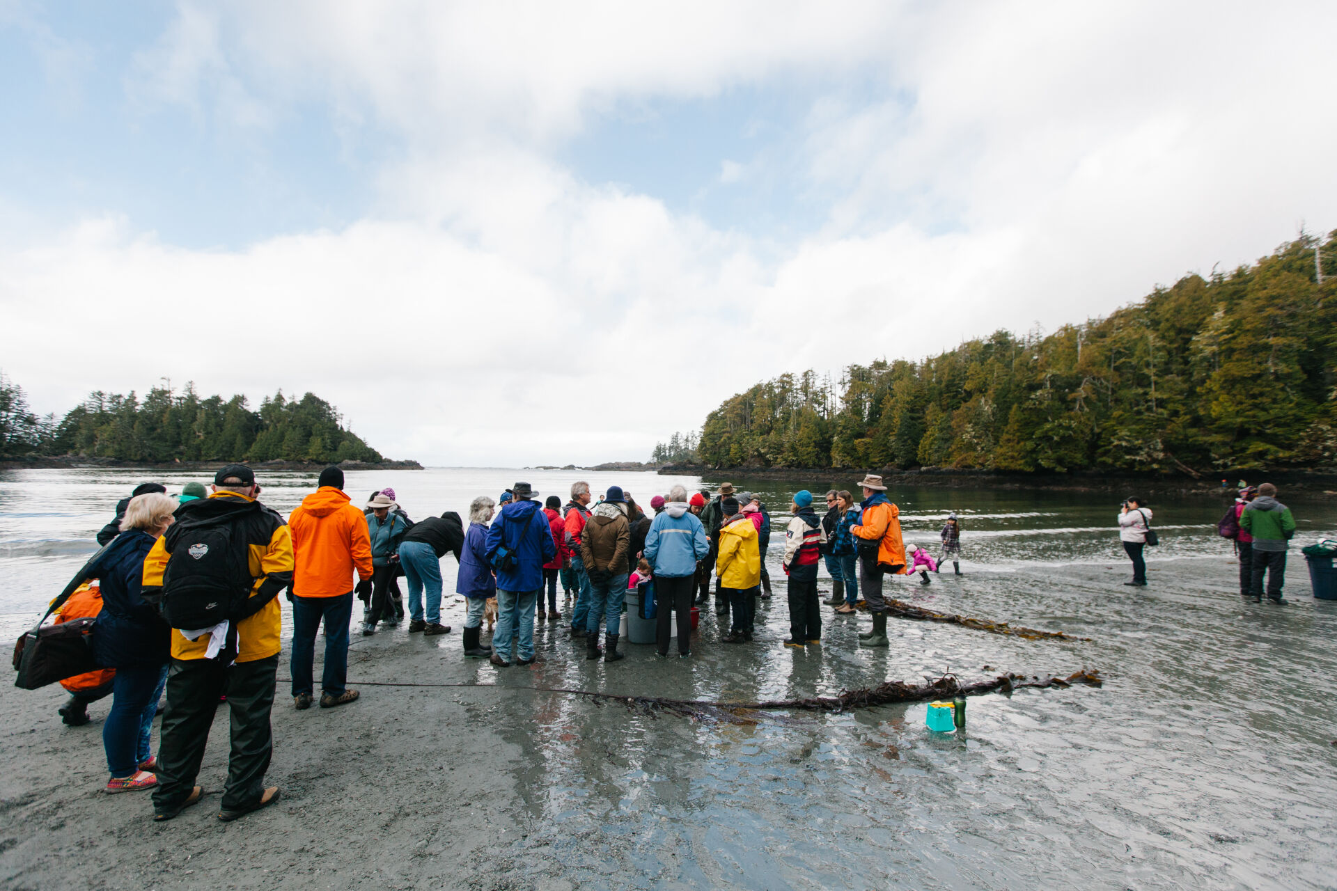 Beach Seine with the Ucluelet Aquarium Pacific Rim Whale Festival