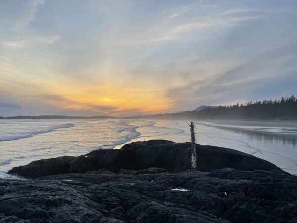 Combers Beach Clean with Surfrider Pacific Rim