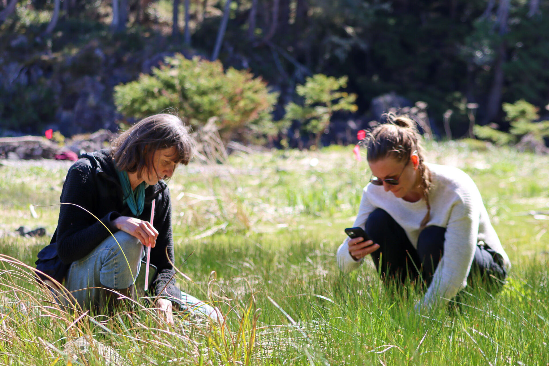 Biodiversity Discovery Days West Coast NEST Clayoquot Biosphere Trust