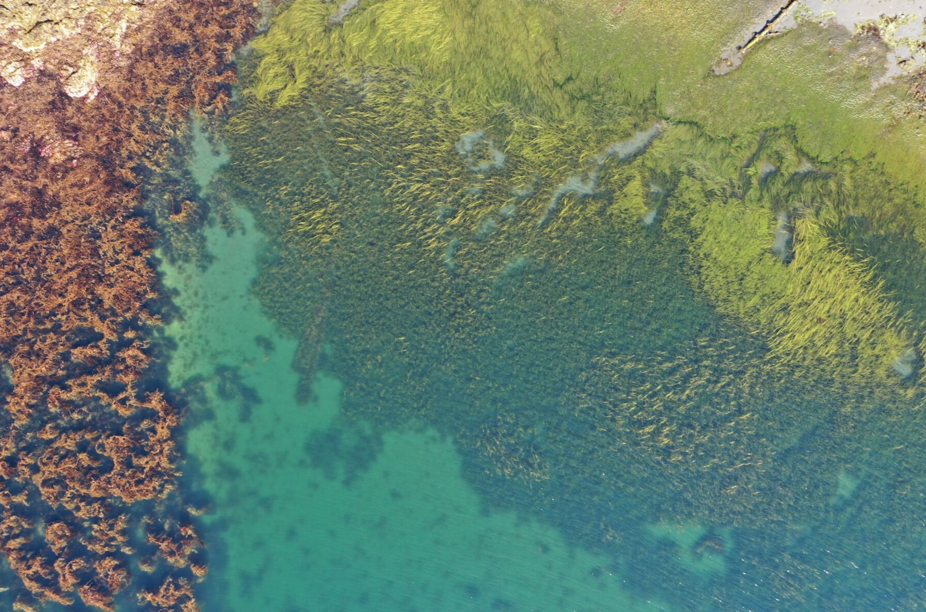 Biodiversity Discovery Days West Coast NEST Clayoquot Biosphere Trust
