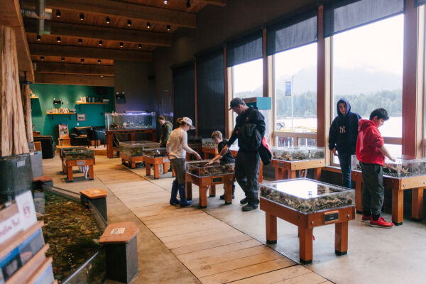 Biodiversity Discovery Days West Coast NEST Clayoquot Biosphere Trust