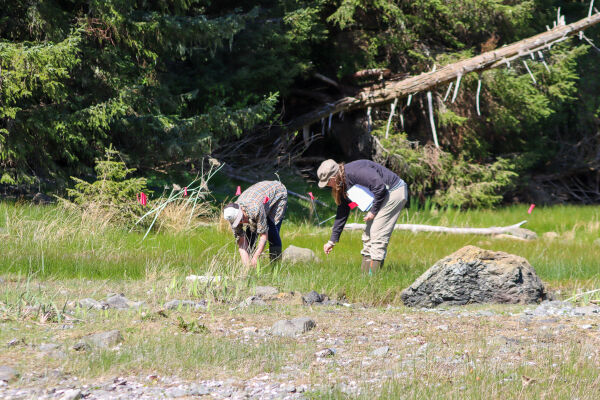 Biodiversity Discovery Days West Coast NEST Clayoquot Biosphere Trust