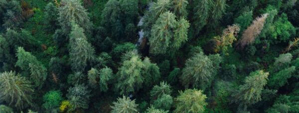 Coastal Raincoast Ecology in Ucluelet West Coast Ambassador Program Raincoast Education Society West Coast NEST
