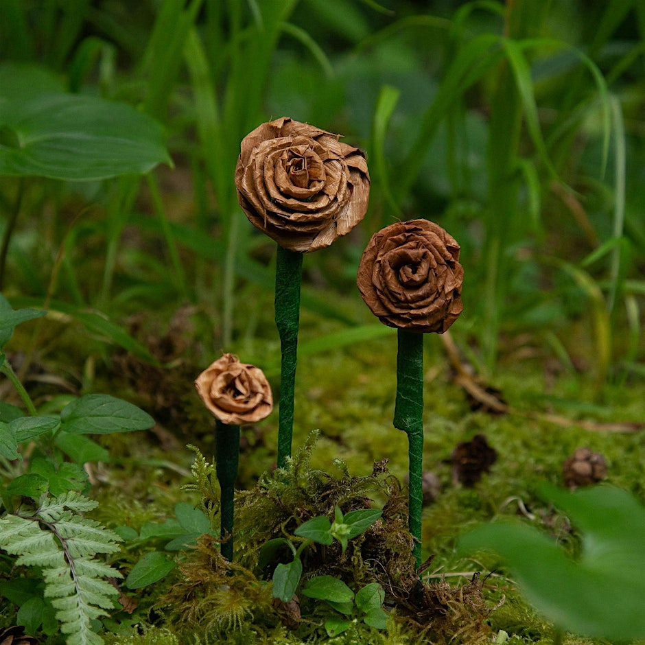 Cedar Weaving with Elizabeth George Tourism Tofino Event