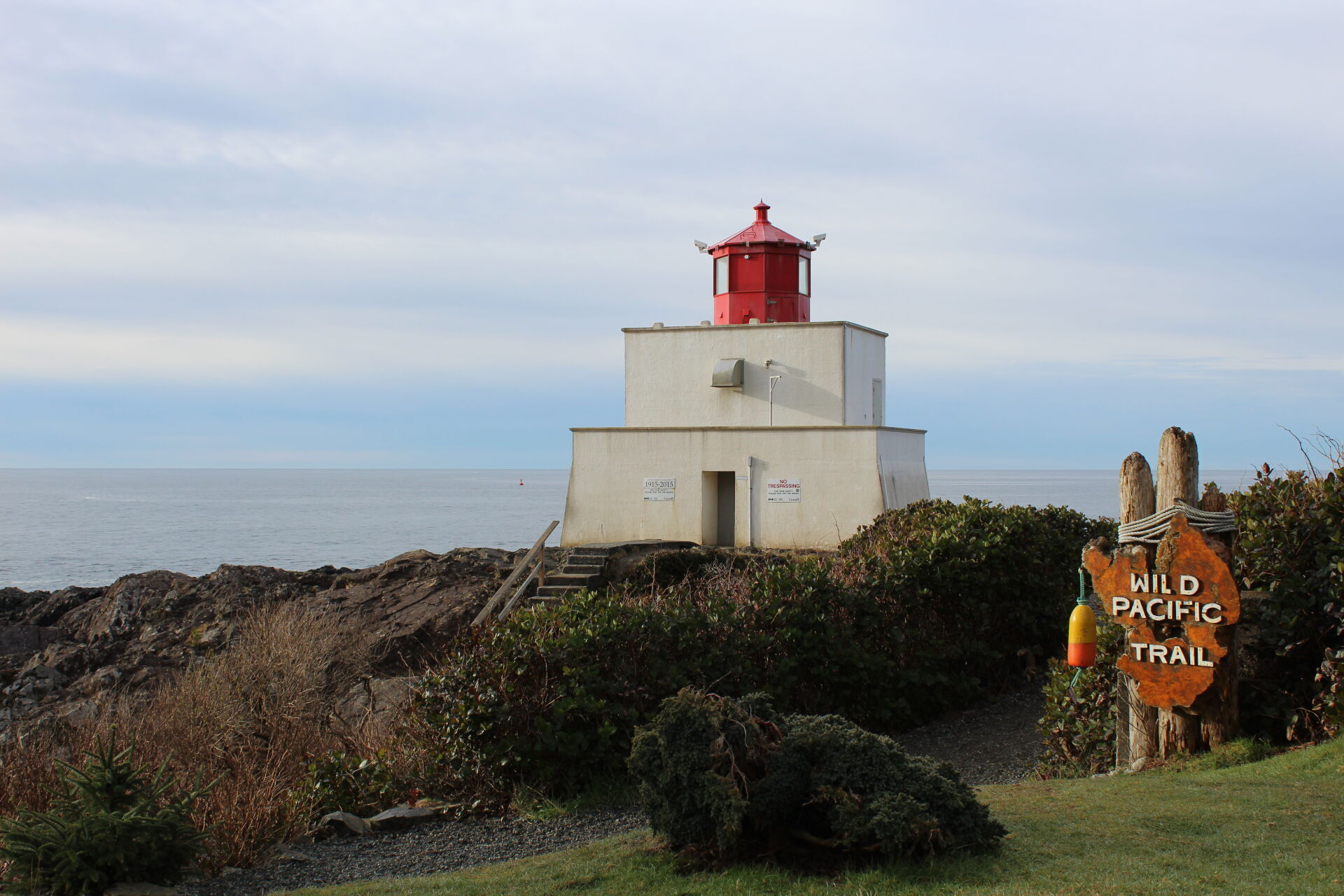 Whale Spotting From Shore at Amphitrite Point Pacific Rim Whale Festival