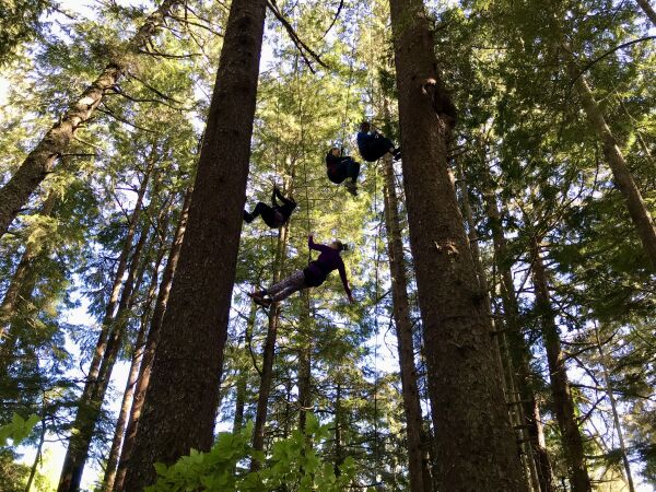 Aeriosa Dance Tree Dance workshops