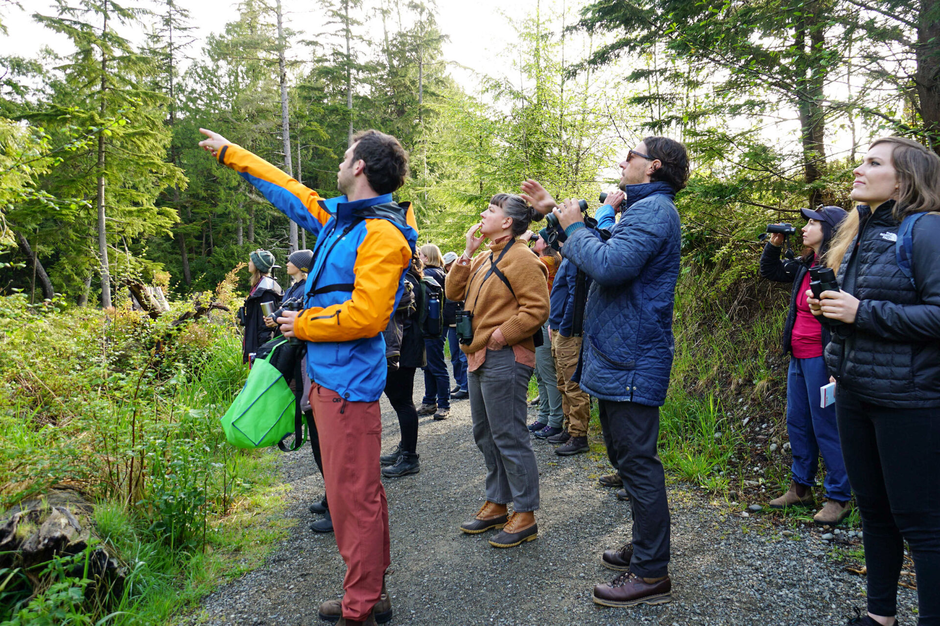 Shorebird Festival Raincoast Education Society West Coast NEST