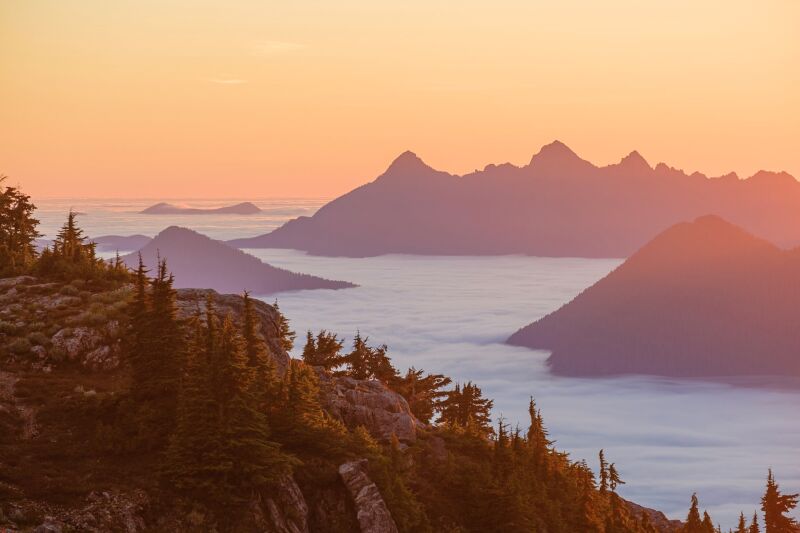 West Coast NEST StoryMaps Science and Conservation in the Clayoquot Biosphere Region 