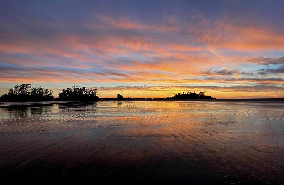 West Coast NEST Winter Newsletter