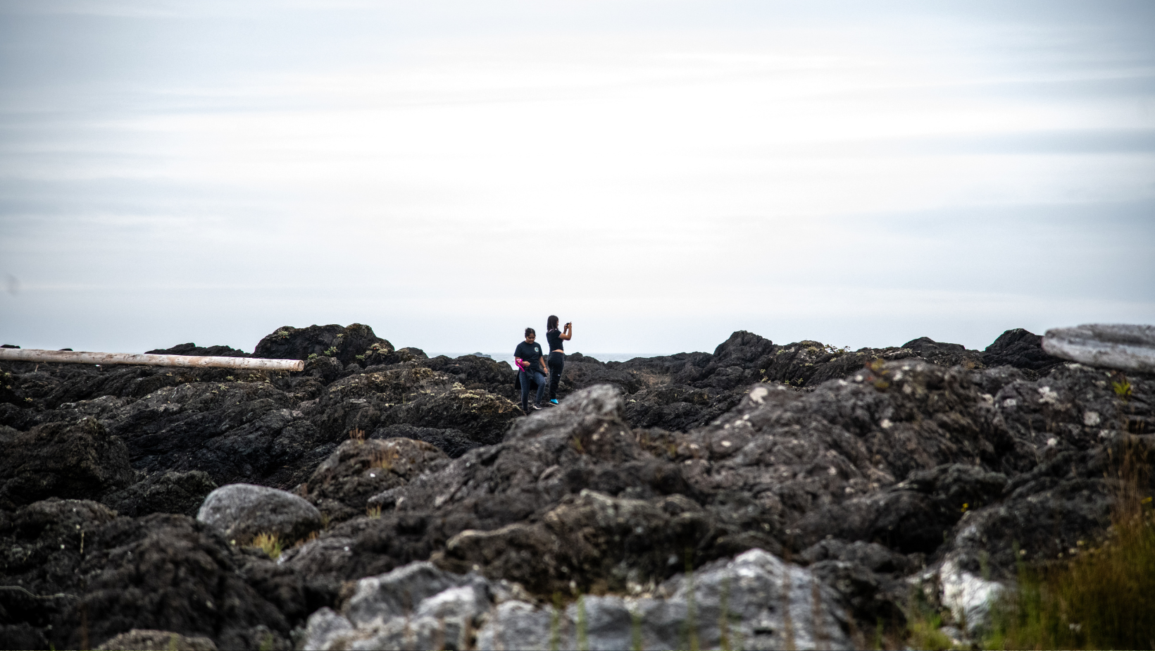 Wild Stories Photography Camp West Coast NEST Sam Rose Phillips