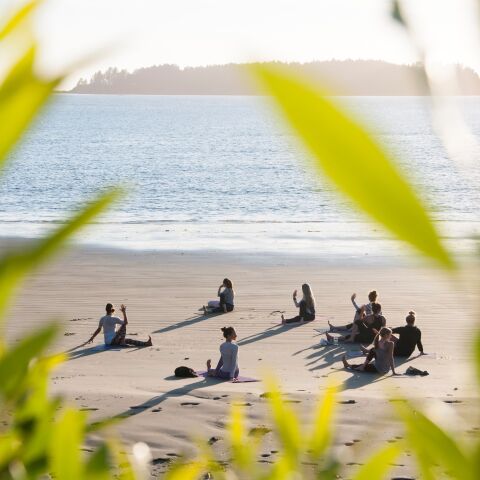 Tofino Yoga West Coast NEST Newsletter 