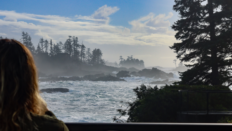 2024 West Coast Fibre Art Retreat Ucluelet - West Coast NEST
