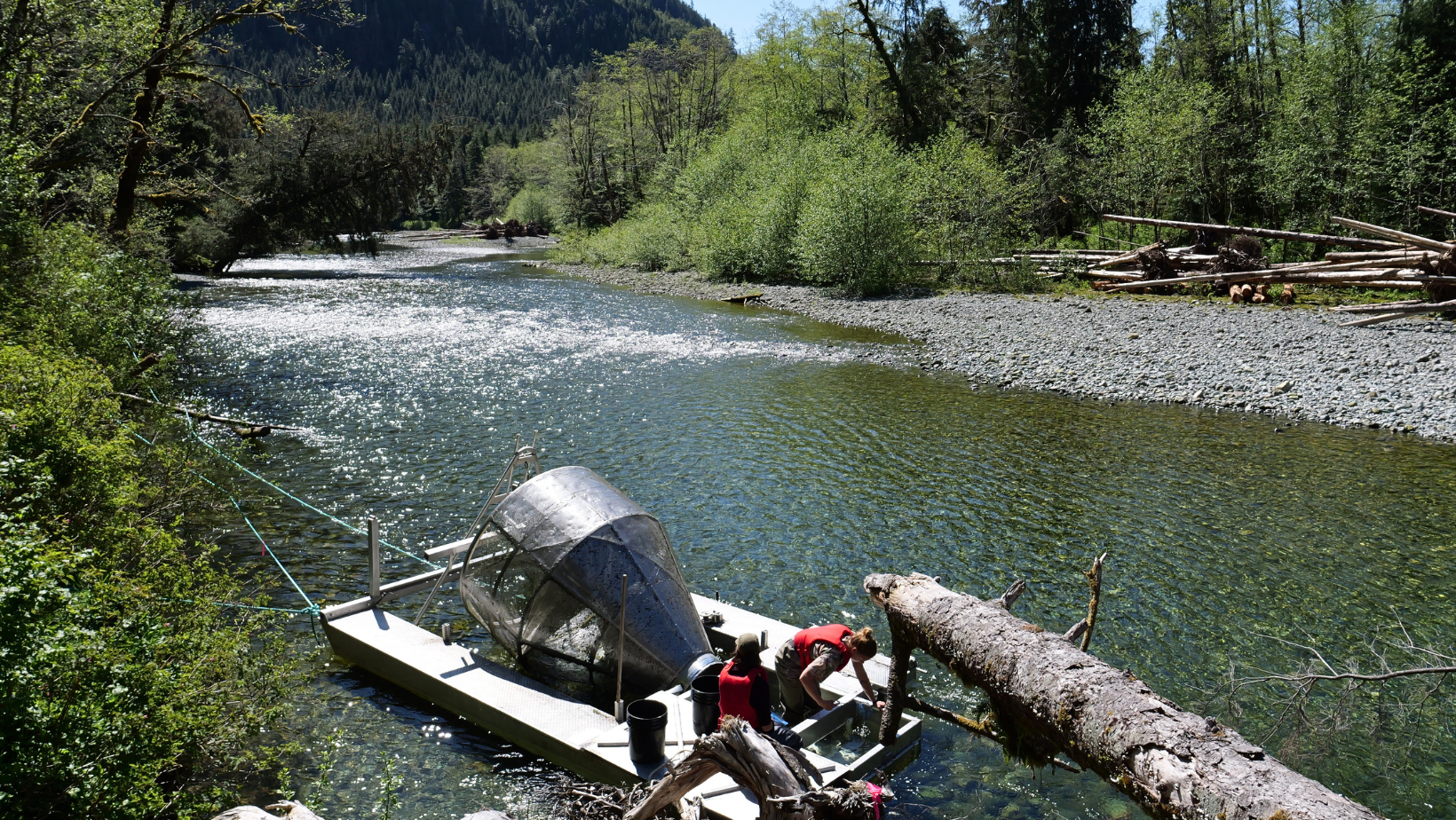 Land-Based Learning at Hiłsyaqƛis, Tranquil Creek Watershed with Redd Fish Restoration West Coast NEST 