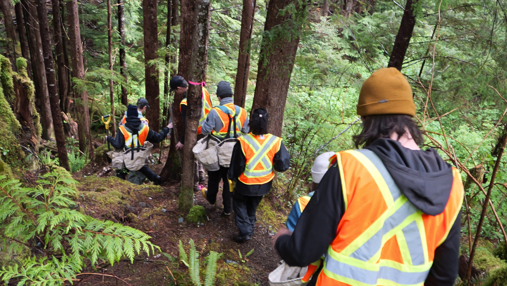 Land-Based Learning at Hiłsyaqƛis, Tranquil Creek Watershed with Redd Fish Restoration West Coast NEST