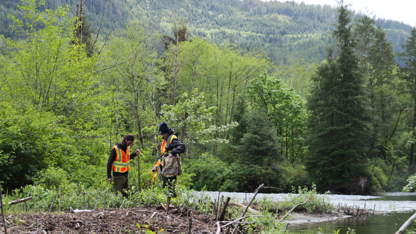 Land-Based Learning at Hiłsyaqƛis, Tranquil Creek Watershed with Redd Fish Restoration