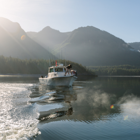 Datum Marine Services Spring Courses West Coast NEST