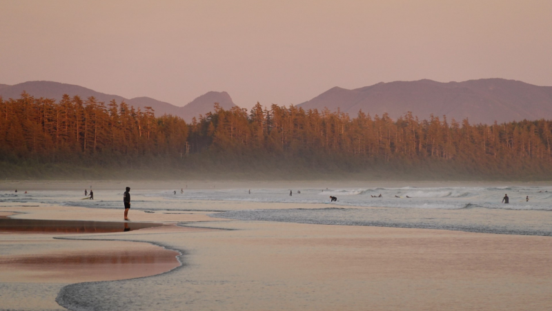 West Coast NEST Spring Newsletter