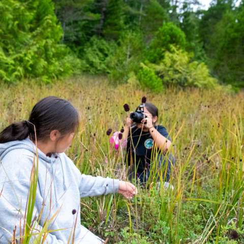 Wild Stories Youth Photography Camp West Coast NEST