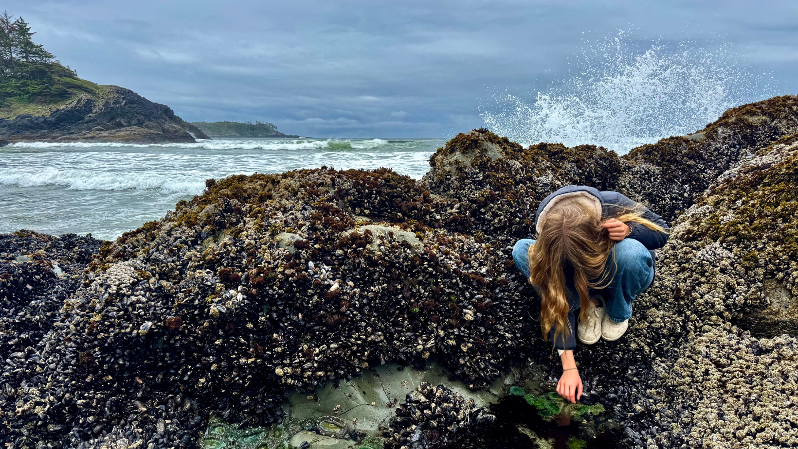 A girl looking at anemones at the ocean