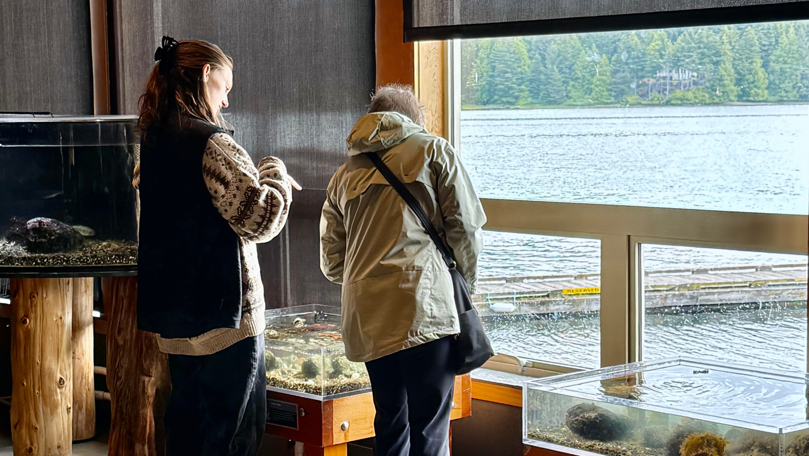 Guests at the Aquarium by Ocea Green