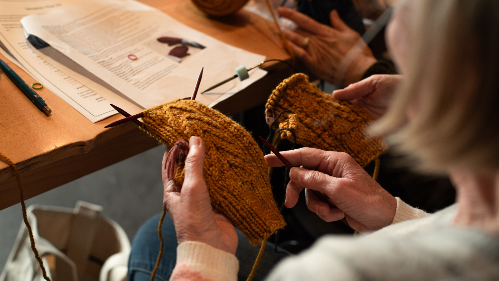 2025 West Coast Fibre art Retreat Frost Fern Mittens