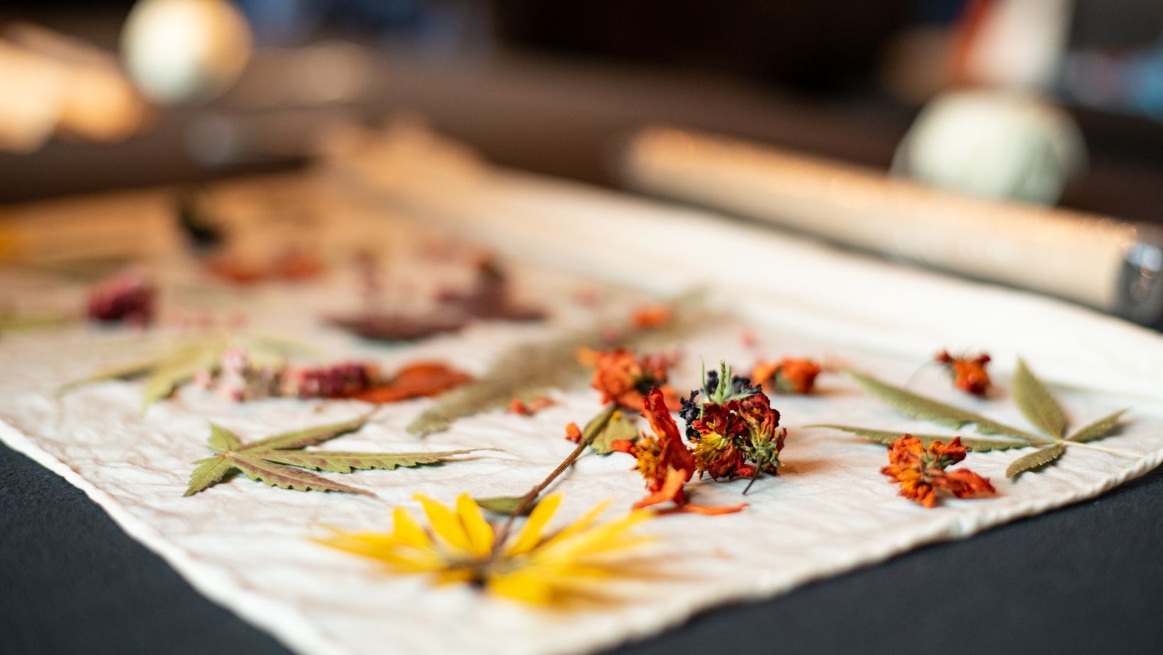 2025 West Coast Fibre Art Retreat Natural Dyeing