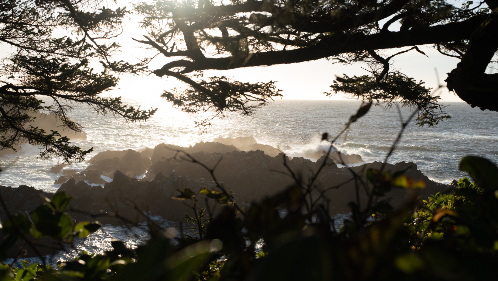 2025 West Coast Fibre Art Retreat Wild Pacific Trail